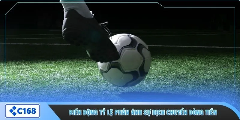 Biến động tỷ lệ phản ánh sự dịch chuyển dòng tiền